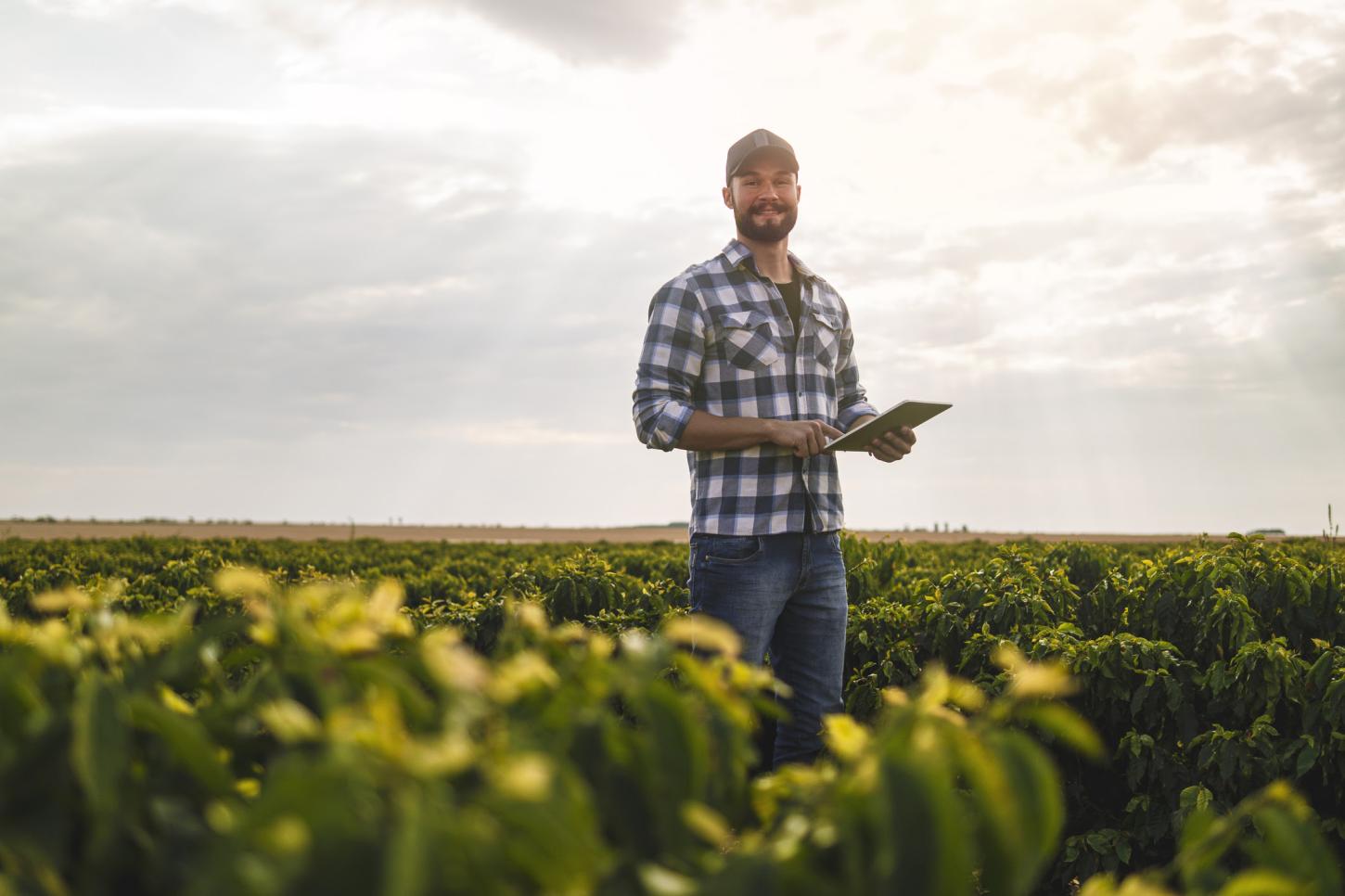 Sebrae-SP abre vaga de bolsista com bolsa de R$ 5 mil para atuar em Santa Isabel e região no programa ALI; inscrições seguem até 19 de setembro