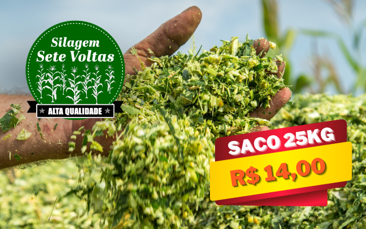 Silagem 7 Voltas