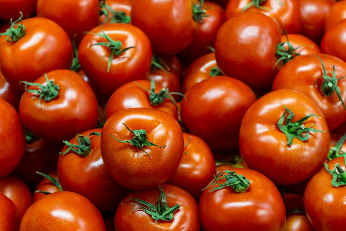 Preço do tomate dispara com fim da safra e já impacta bolso do consumidor isabelense