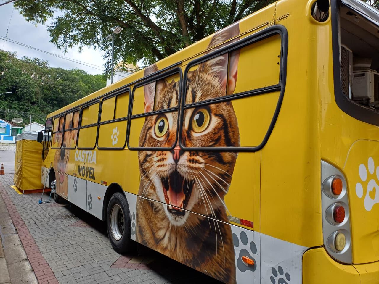 Prefeitura promove castração animal com unidade móvel na Praça da Bandeira