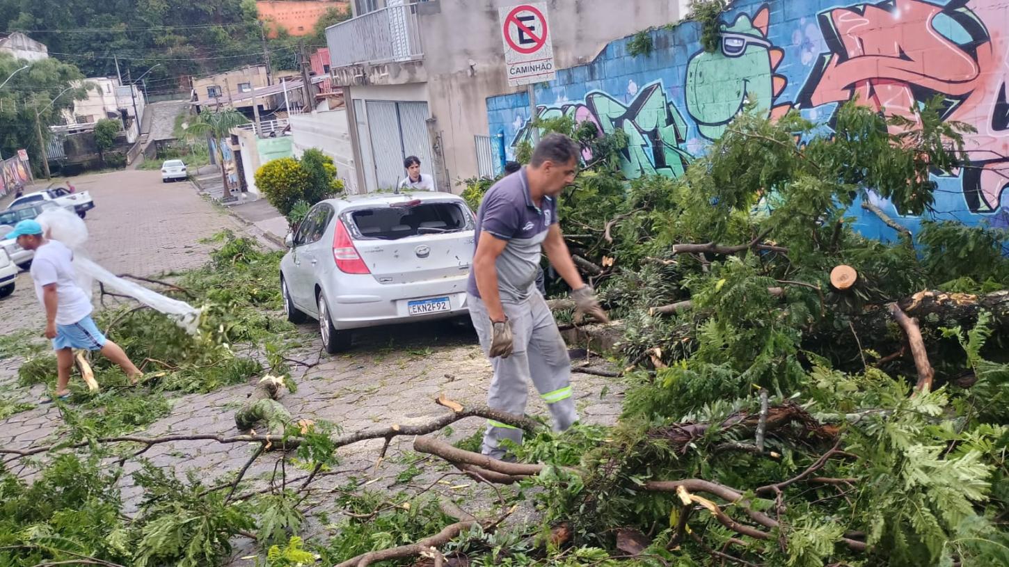 Ciclone provoca queda de árvores e postes e expõe fragilidades na prevenção na cidade