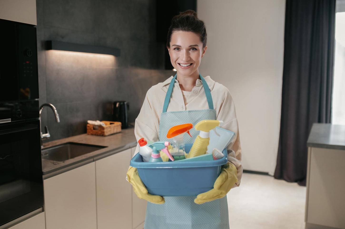 Empregado doméstico tem direitos garantidos por lei desde 2015