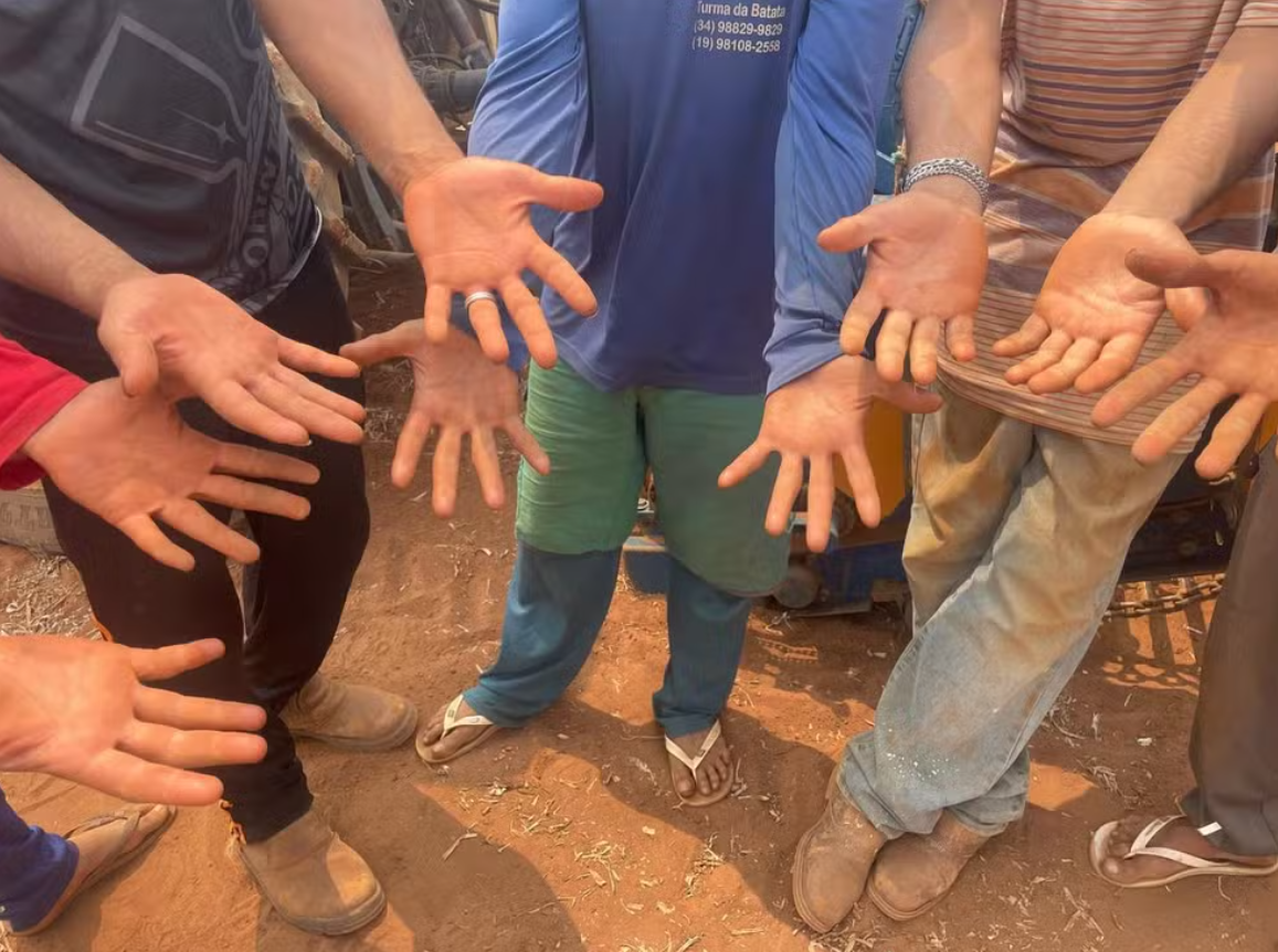 'Lista suja' do trabalho escravo é atualizada; Amado Batista e BYD são incluídos