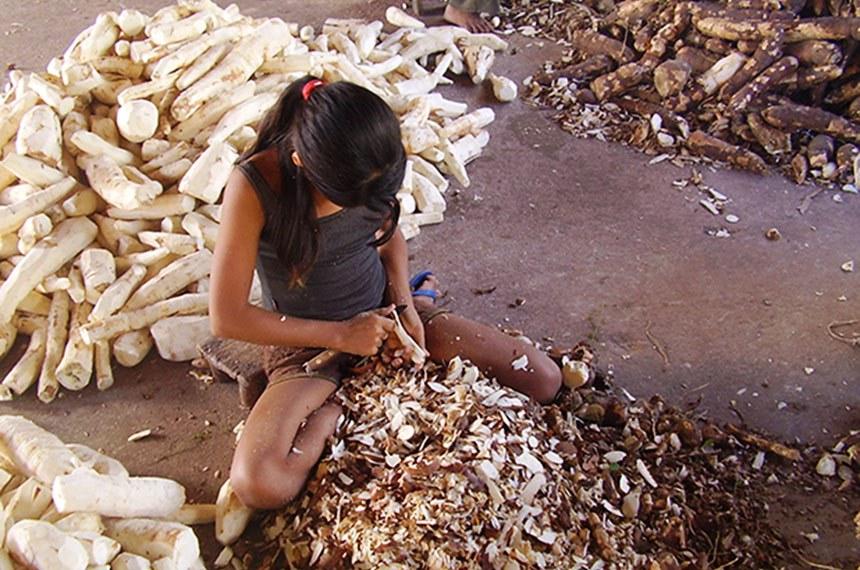 Trabalho infantil é proibido e lei define regras rígidas de proteção ao menor