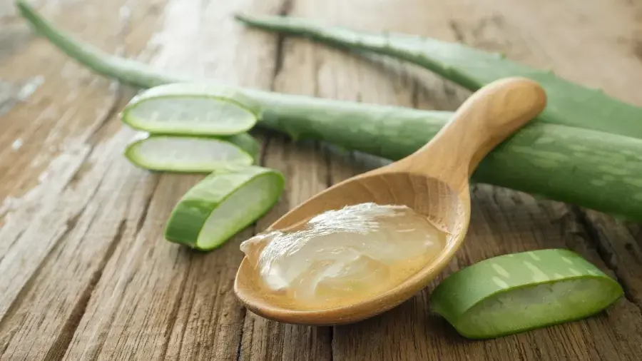 Babosa: o ingrediente natural queridinho da beleza que exige cautela