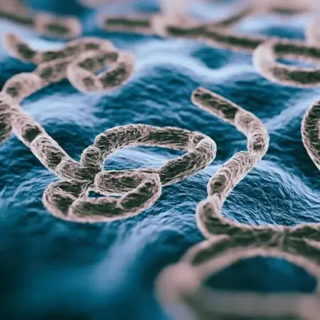 OMS declara emergência global por surto de ebola; o que isso significa?