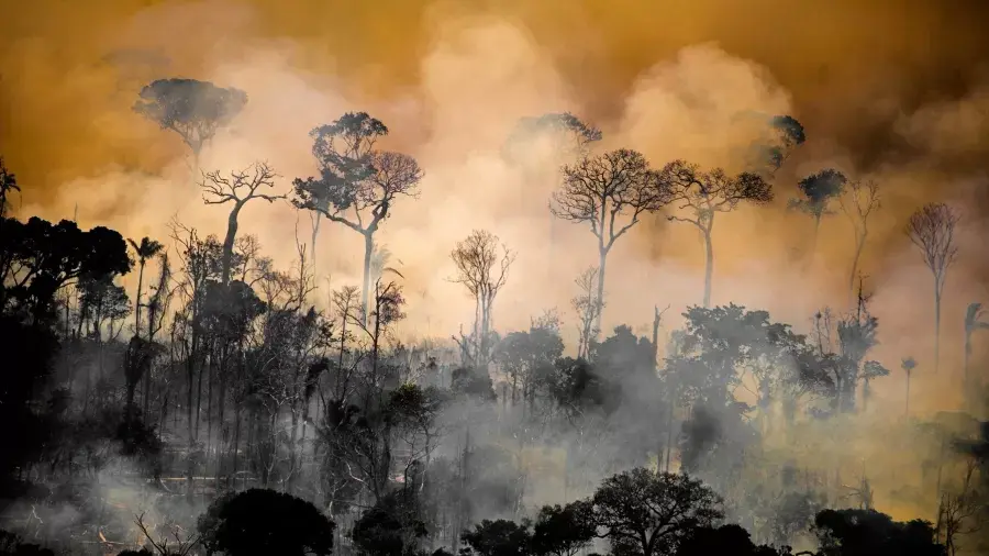 El Niño testa preparação do Brasil para incêndios florestais
