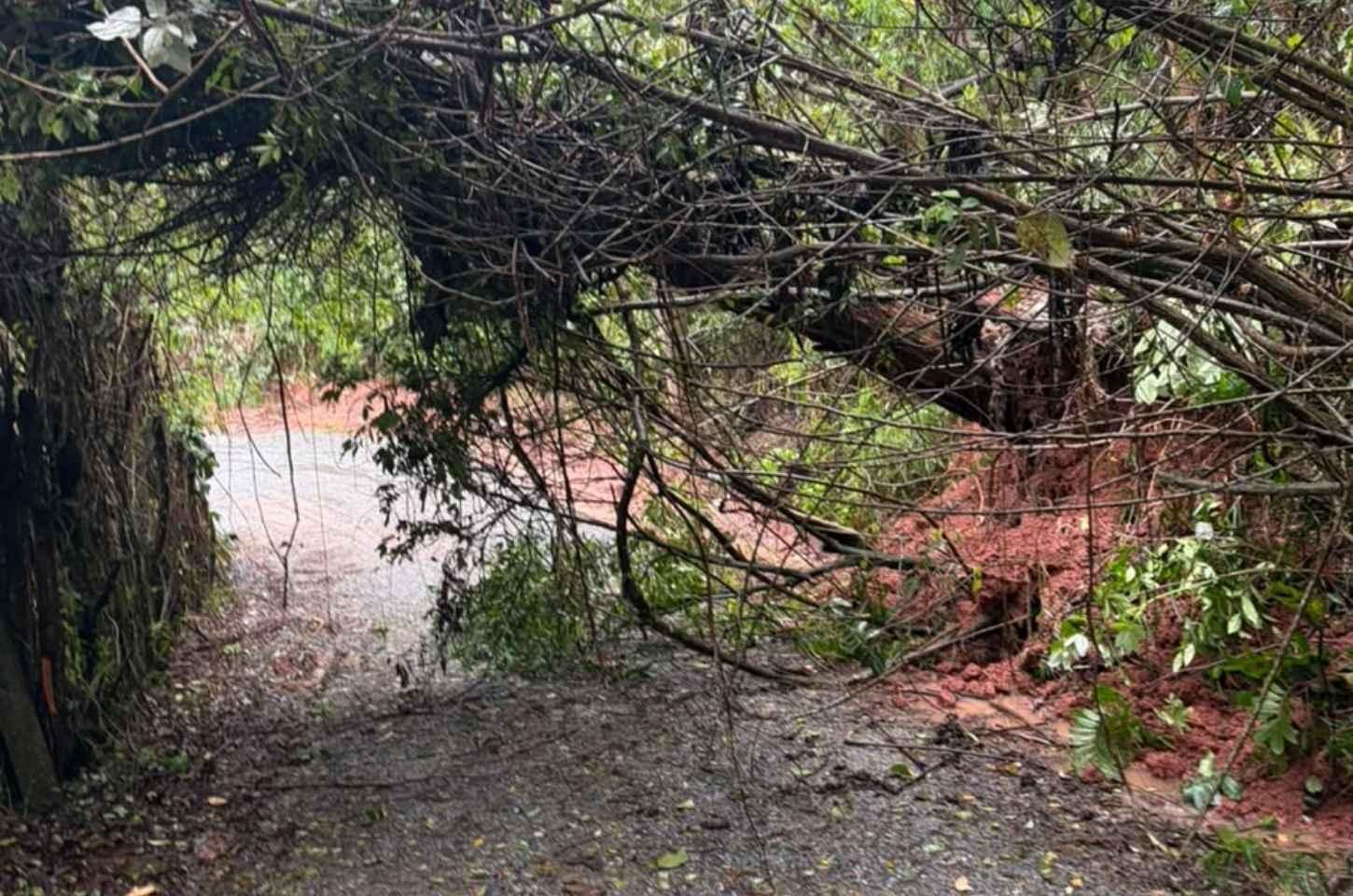 Chuvas provocam deslizamentos, quedas de árvores e alagamentos em Santa Isabel