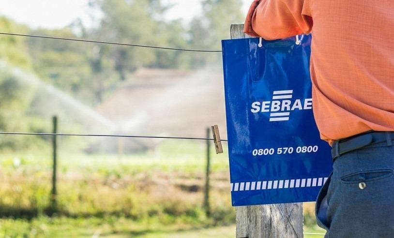 Sebrae-SP abre apoio gratuito por até 12 meses a produtores rurais de Santa Isabel