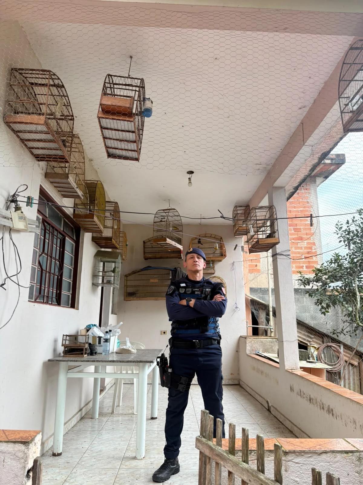 Casa em Santa Isabel mantinha 27 aves de 12 espécies em cativeiro sem autorização
