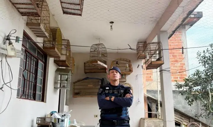 Casa em Santa Isabel mantinha 27 aves de 12 espécies em cativeiro sem autorização