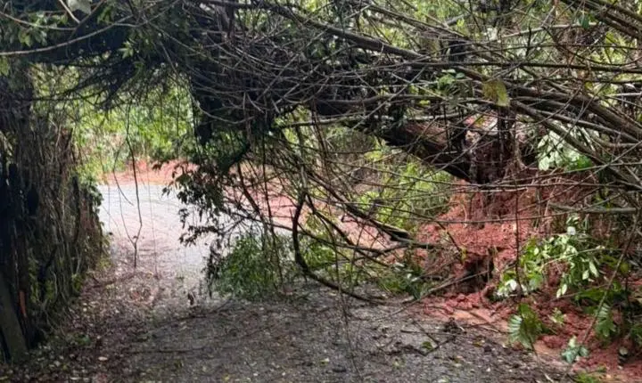Chuvas provocam deslizamentos, quedas de árvores e alagamentos em Santa Isabel