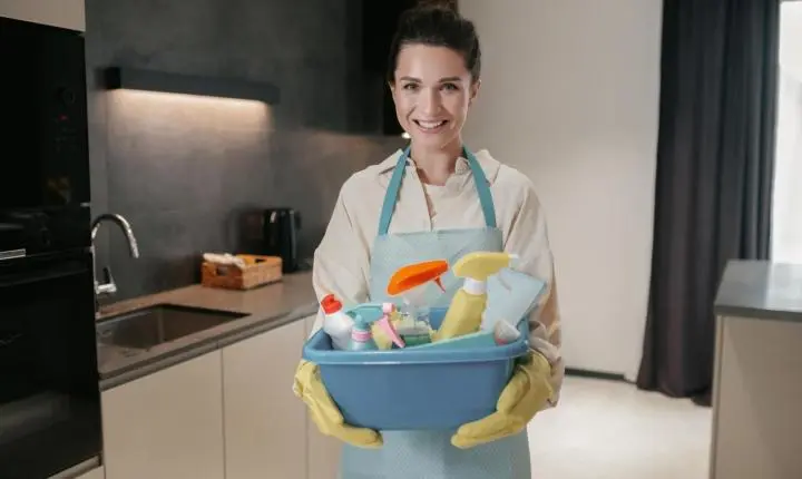 Empregado doméstico tem direitos garantidos por lei desde 2015