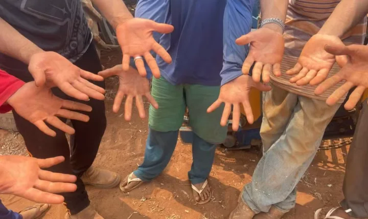 'Lista suja' do trabalho escravo é atualizada; Amado Batista e BYD são incluídos