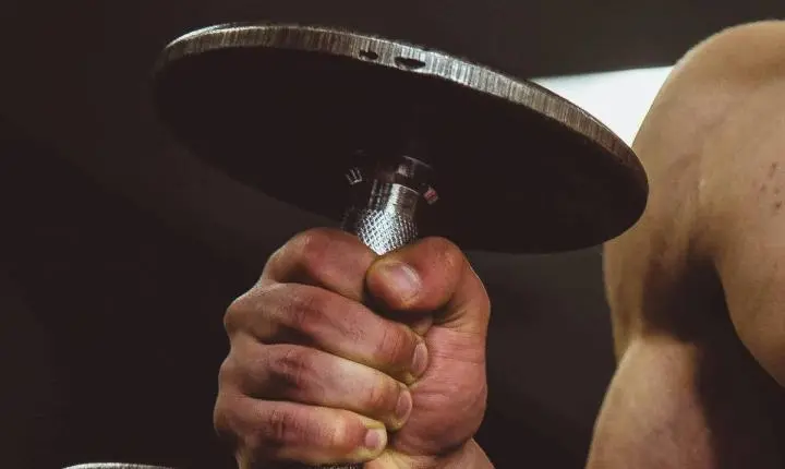 'Shape de aluguel': musculatura desenvolvida com anabolizantes some em meses, afirma estudo