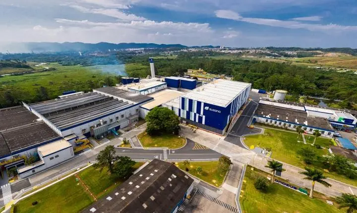 Suzano bate recorde de vendas e impacta economia da região