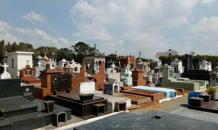 Suzano permite enterro de cães e gatos em túmulos de famílias dos próprios tutores